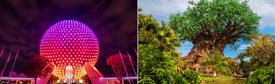 Walt Disney World Promoção 2 dias 2 parques (Epcot e Disney’s Animal Kingdom Theme Park)
